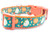 Fall collar with white and orange pumpkins scattered with fall leaves on a turquoise background and coordinating orange nylon webbing. 