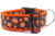 Happy Jack O Lanterns on a black polka dot background.  Coordinating 2 inch wide orange nylon. Happy Jack O Lanterns on a black polka dot background.  Coordinating 2 inch wide orange nylon.