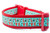 1.5 inch wide dog collar with red nylon and an aqua background with work "Love" with a paw polka dot background.  Design is glittery. 1.5 inch wide dog collar with red nylon and an aqua background with work "Love" with a paw polka dot background.  Design is glittery.