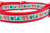 Glittery dog collars with red nylon and aqua background and word " Love" and paws.