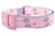 Buckle style pink collar with "Rescued  is my Favorite Breed" and grey glittery paws on grey nylon with pink buckle. Collar is 1 inch wide.