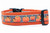 1.5 inch wide dog collar with orange nylon and black and white plaid print with pumpkins.