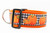 2 inch wide dog collar with orange nylon and black and white plaid print with pumpkins.