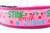 Pink dog collar with stink, stank, stunk on a raspberry pink nylon.