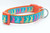Spring dog collar with orange nylon and aqua background with multicolored rabbits.