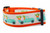 Orange dog collar with aqua pickup truck carrying carrots and a cute bunny butt.