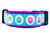 Cute cupcake dog collar with sprinkle covered cupcakes and glittery silver polka dot on blue ribbon and 2 inch wide purple nylon.