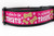 2 inch wide dog collar with black nylon and hot pink ribbon with glittery dog bones, paw prints and words "I'm just here for the treats"