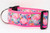 Bright neon pink flamingo collar with a tropical floral background.