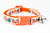 Multicolored pumpkins on light tan ribbon with orange nylon webbing.  Cat collar with a safety breakaway buckle.