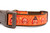 1 inch wide Thanksgiving collar with brown nylon and an orange design with leaves and polka dots and festive turkeys.