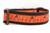 1.5 inch wide Thanksgiving collar with brown nylon and an orange design with leaves and polka dots and festive turkeys. 1.5 inch wide Thanksgiving collar with brown nylon and an orange design with leaves and polka dots and festive turkeys.