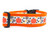 1.5 inch wide collar with orange nylon and a harvest pumpkin design with pumpkins and cream colored flowers and grey vines and seeds.