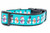 1 inch wide collar with black nylon and cute snowmen on an aqua blue background 1 inch wide collar with black nylon and cute snowmen on an aqua blue background