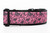 2 inch wide collar with black nylon and leopard hearts on a pink background