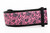 2 inch wide collar with black nylon and leopard hearts on a pink background