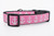 1 inch wide collar with black nylon and white anchors on a pink background.