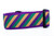 2 inch wide collar with purple nylon and a striped Mardi Gras pattern.