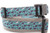 Collar with silver grey nylon and swimming sharks on an aqua background.  Top is 1 inch wide and bottom is 1.5 inch wide. Collar with silver grey nylon and swimming sharks on an aqua background.  Top is 1 inch wide and bottom is 1.5 inch wide.