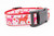 Valentine collar with 1 inch wide red nylon and dog silhouettes with pink and red hearts and paws.