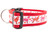 Valentine collar with 1.5 inch wide red nylon and dog silhouettes with pink and red hearts and paws.