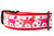 Valentine collar with red nylon and dog silhouettes with pink and red hearts and paws.