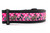 A close-up of a pink and black dog collar featuring a ribbon with multiple bunny silhouettes in leopard print, black-and-white stripes, and polka dots over a hot pink polka dot background. The ribbon is sewn onto black 1.5 inch wide nylon webbing
