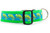 Adjustable dog collar featuring a pattern of bright green chameleons sitting on brown branches against a turquoise-blue ribbon. The patterned ribbon is stitched onto a bright 1.5 inch wide lime green webbing backing.
