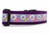 Sprinkled donuts and stars on purple background and 1.5 inch wide purple nylon.