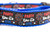 A vibrant blue nylon dog collar featuring a black patterned ribbon that reads "Party like it's 1776" surrounded by red, white, and blue fireworks and stars.