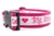 Pink and white dog collar with words "Big Sister" repeating with a rose pink nylon.