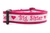 Pink and white dog collar with words "Big Sister" repeating with a rose pink nylon.