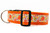 Orange nylon with a fall pattern featuring pumpkins, apples, leaves and berries.