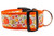 Orange nylon with a fall pattern featuring pumpkins, apples, leaves and berries.