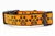 Halloween dog collar with glittery jack o lantern paws on orange background.