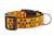Halloween dog collar with glittery jack o lantern paws on orange background.