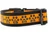 Halloween dog collar with glittery jack o lantern paws on orange background.