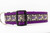 Purple nylon dog collar with a black ribbon pattern featuring dog skeletons, floating bones, colorful confetti hearts, and sparkly purple "BOOP" text.