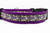 Purple nylon dog collar with a black ribbon pattern featuring dog skeletons, floating bones, colorful confetti hearts, and sparkly purple "BOOP" text.
