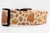 Cream-colored dog collar featuring a pattern of Thanksgiving turkeys, pumpkin pies, pilgrim hats, acorns, and fall leaves