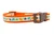 Multicolored fall leaves in brown, orange, lime and blue with swirls on an orange nylon.