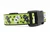 Lime green collar with black and white voodoo dolls along with spiders and moons.
