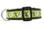 Lime green collar with black and white voodoo dolls along with spiders and moons.