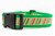Red, cream and glittery green striped collar with green nylon.