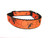 Orange and black dog collar with a spiderweb and spider design.