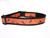 Orange and black dog collar with a spiderweb and spider design.