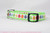 Little Lime Eggs Dog Collar 5/8 or 3/4" wide Little Lime Eggs Dog Collar 5/8 or 3/4" wide