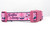 Pink and navy blue collar with words "Sailin' Away" along with whales, anchors, and life rafts