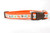 Fall leaves dog collar