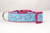 beach dog collar beach dog collar